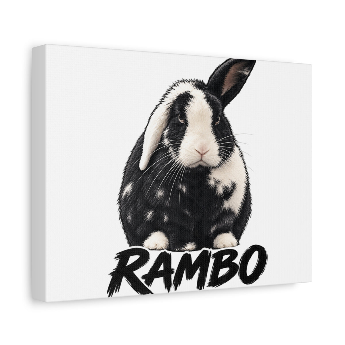 Rambo Black and White Rabbit Canvas Wall Art