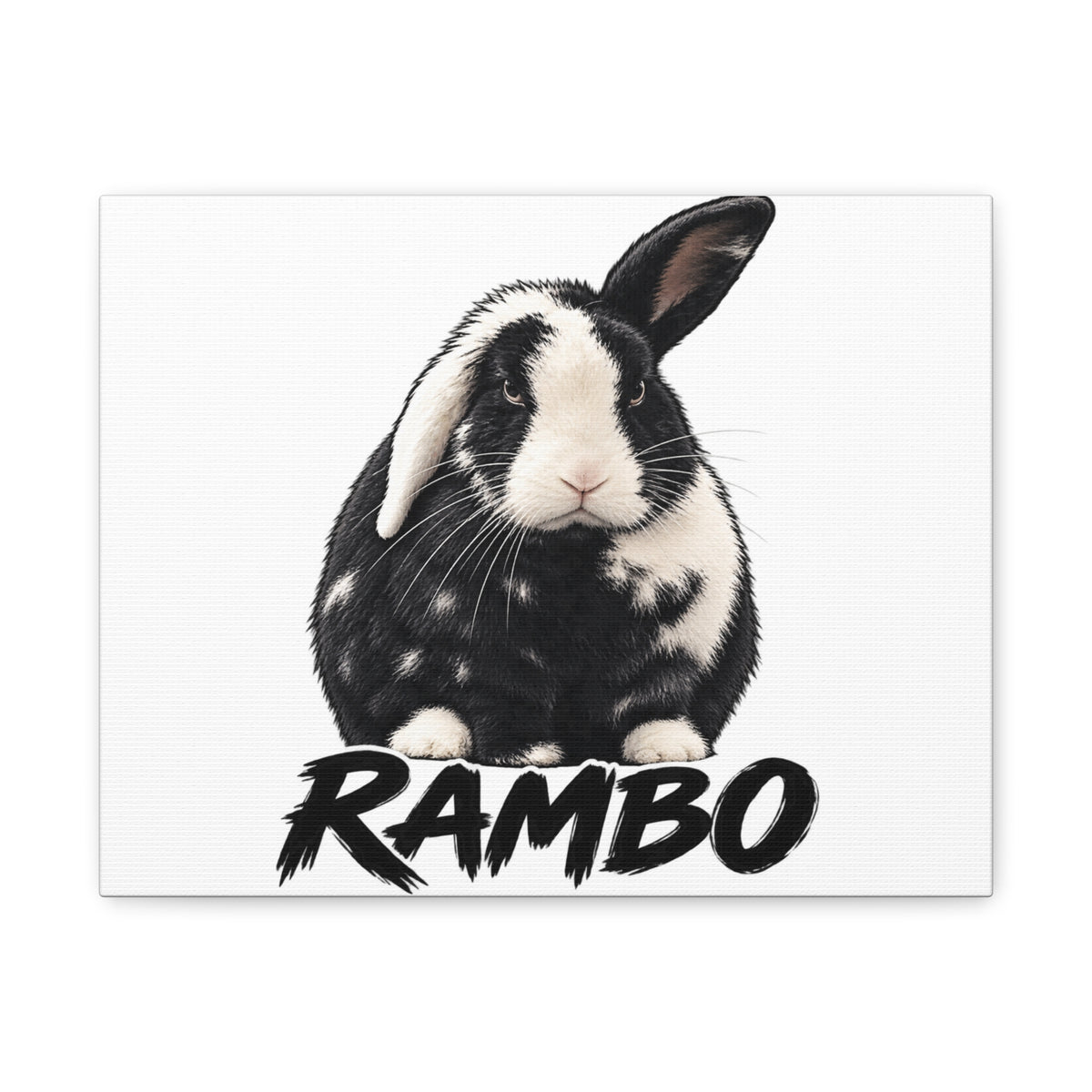 Rambo Black and White Rabbit Canvas Wall Art