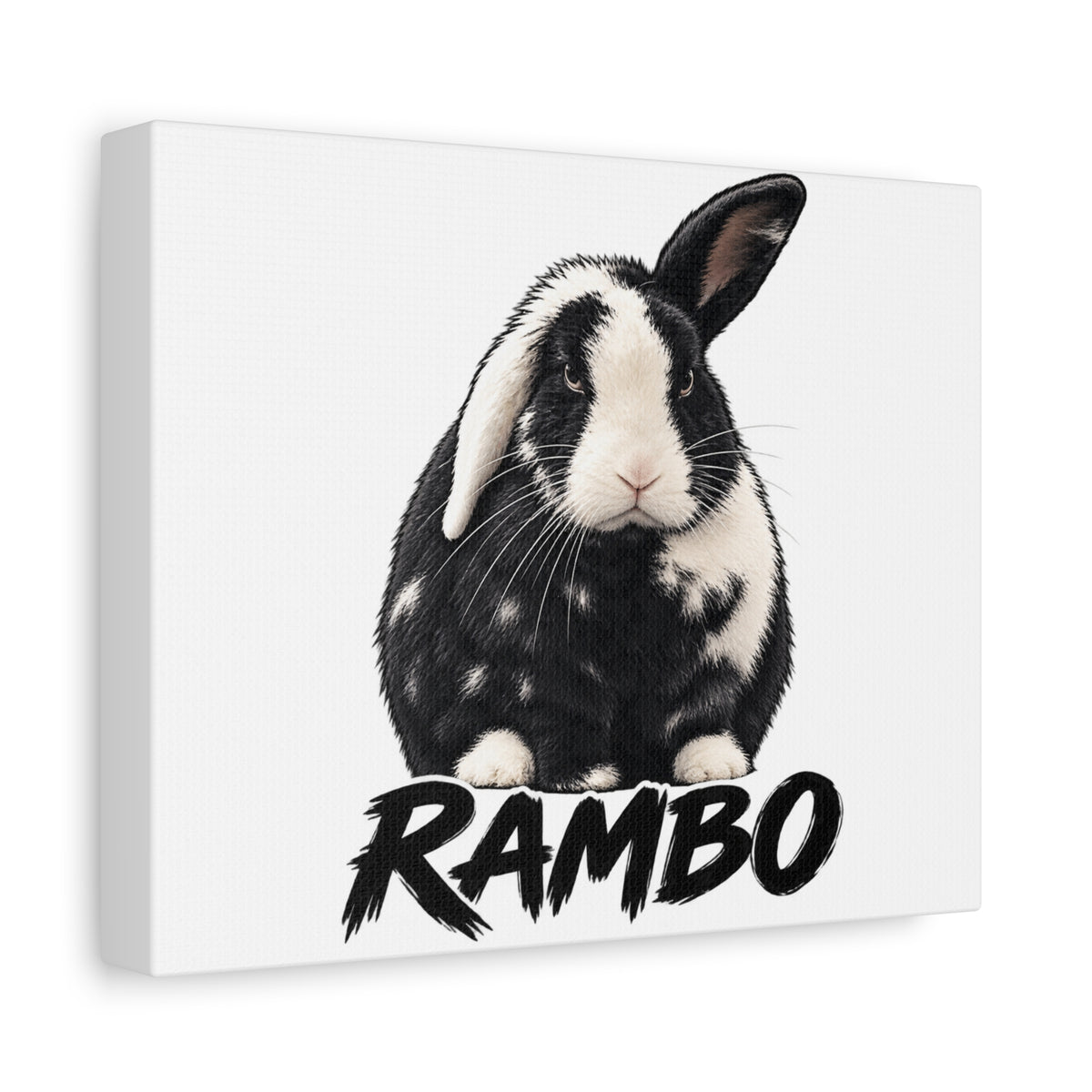Rambo Black and White Rabbit Canvas Wall Art