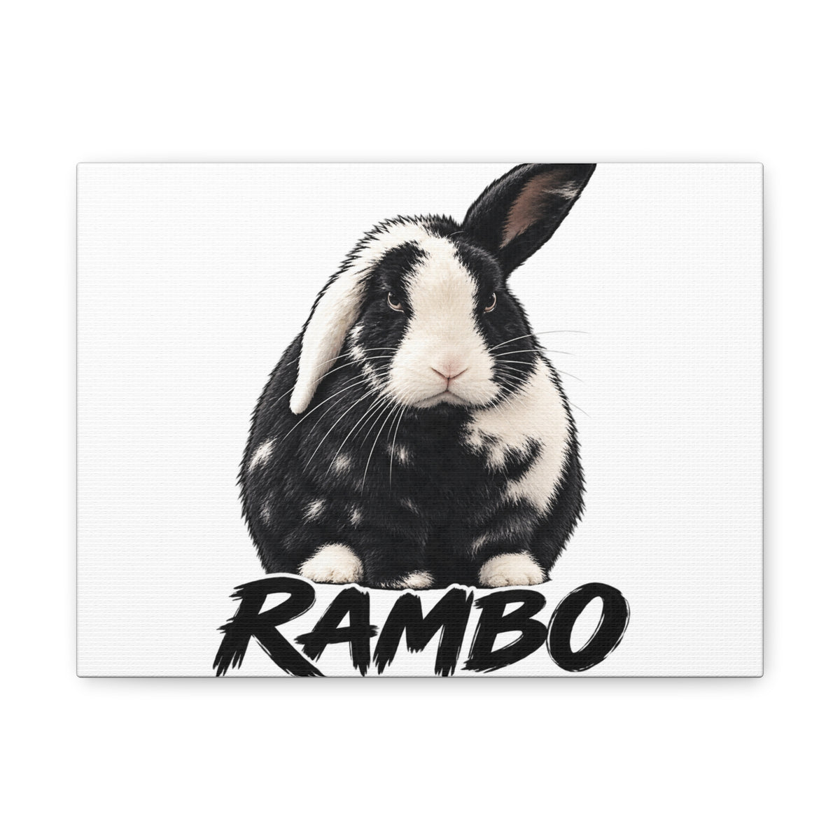 Rambo Black and White Rabbit Canvas Wall Art