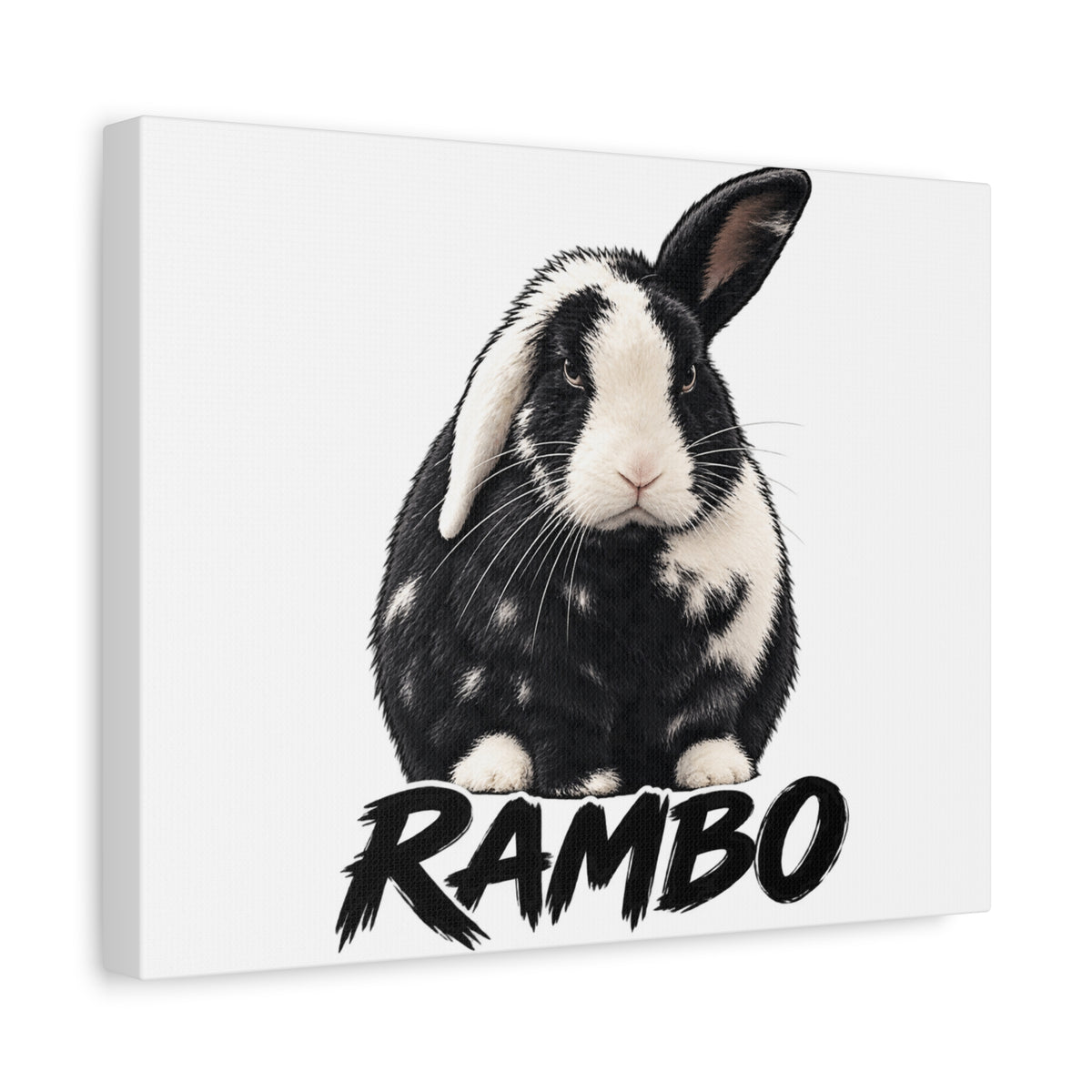 Rambo Black and White Rabbit Canvas Wall Art